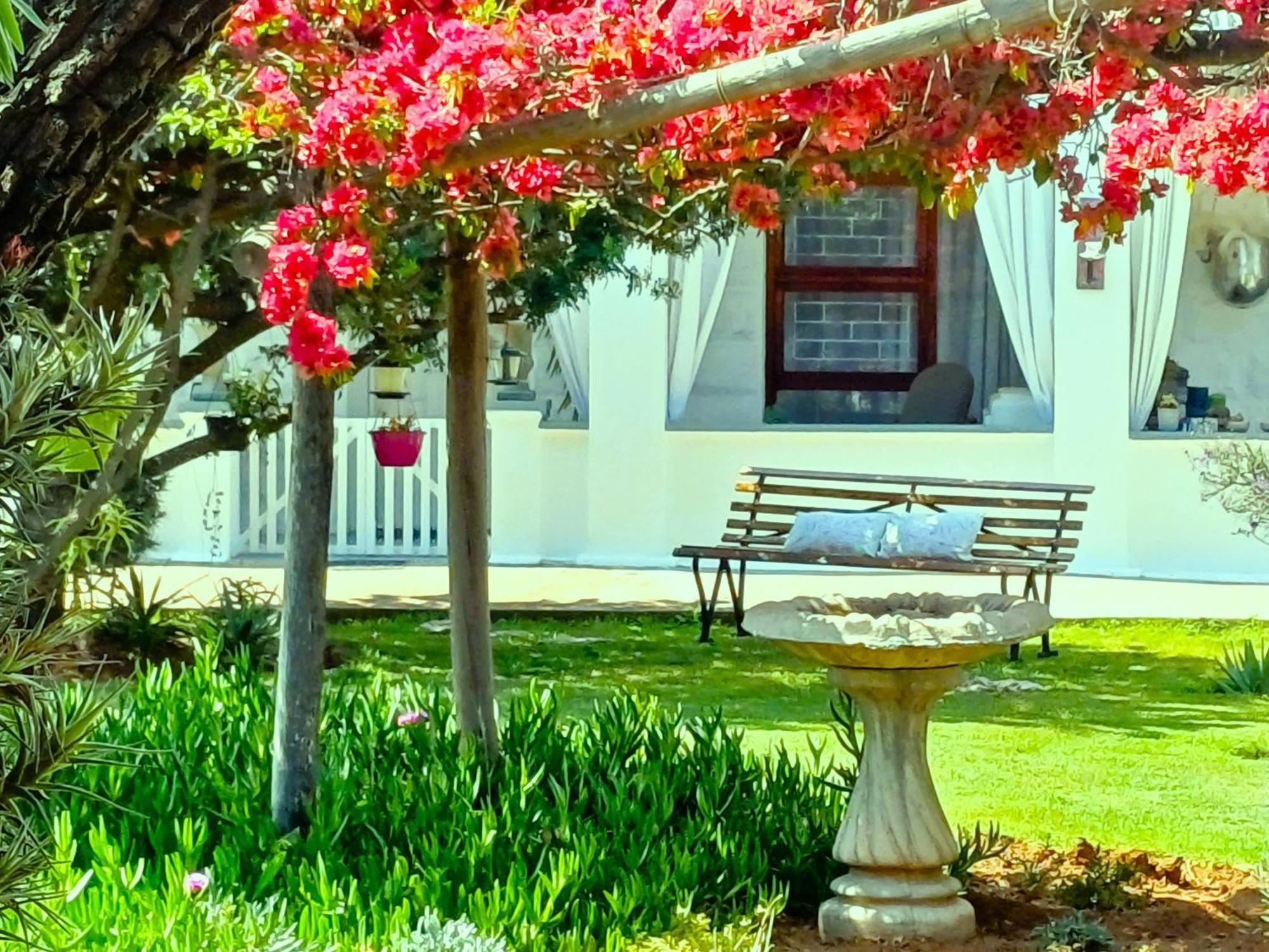 86 On Jubilee Hotel Oudtshoorn Exterior photo